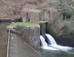 Mu&iacute;&ntilde;os da cobrer&iacute;a do Xubia / Imaxe: M. Lara (2009)