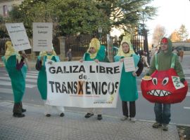 &Aacute; porta do Parlamento, os ecoloxistas manifest&aacute;ronse contra os transx&eacute;nicos