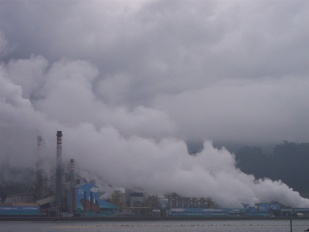 D&uacute;as imaxes de Ence, na r&iacute;a de Pontevedra