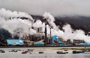 A papeleira de Ence, na R&iacute;a de Pontevedra / Foto: sospontedeume.com