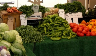 Nas xornadas vaise promover a agroecolox&iacute;a