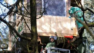 As cabanas entres as &aacute;rbores