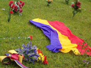 Badeira republicana e rosas vermellas sobre unha foxa com&uacute;n / Flickr: jaumedurgell