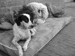 Durmindo na r&uacute;a / Flickr: rpalominos