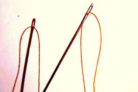 Agulla e f&iacute;o / Flickr: inti