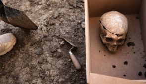 Restos dos represaliados entre 1937 e 1951 exhumados no cemiterio de San Rafael, en M&aacute;laga, esta fin de semana