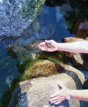 Os vertidos at&oacute;panse nas mesmas zonas