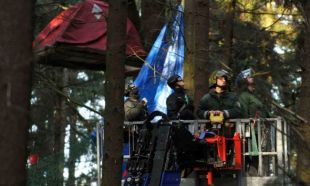 As tendas, nas p&oacute;las das &aacute;rbores