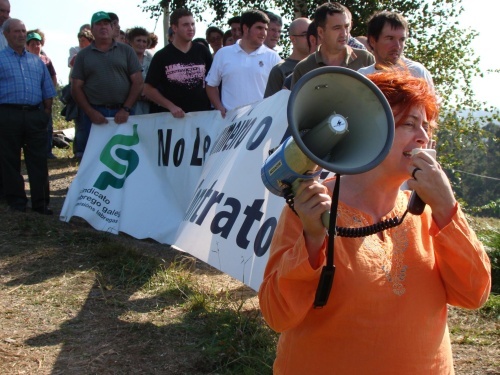 Os gandeiros do SLG s&uacute;manse &aacute; folga europea