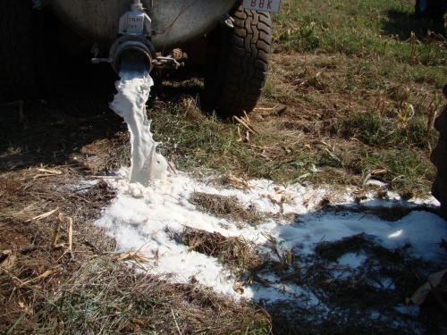 Os gandeiros do SLG s&uacute;manse &aacute; folga europea