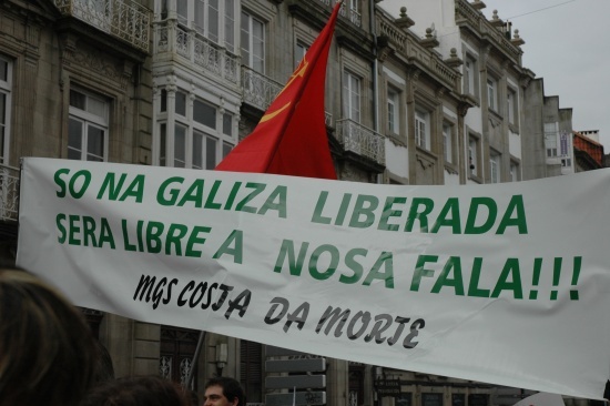 Queremos Galego: Manifestaci&oacute;n do 21 de xaneiro
