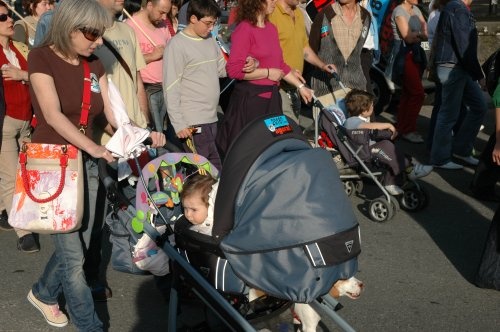 Tam&eacute;n os carri&ntilde;os