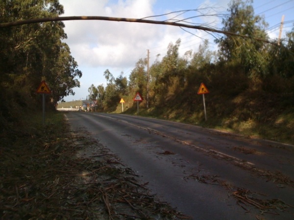 Na estrada que leva &aacute; parroquia de Covas tam&eacute;n se notou a forza do vento